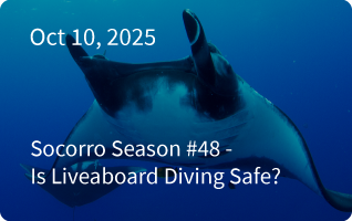 San Ignacio Newsletter