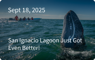San Ignacio Newsletter