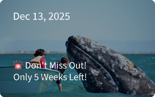 Baja Expedition Newsletter