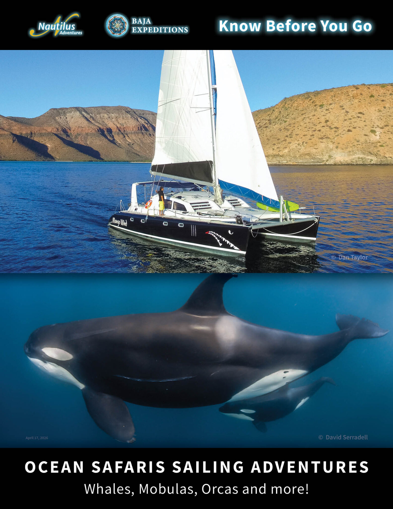 Mobula and Orca Expedition 