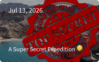 Baja Expedition Newsletter