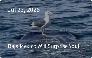 Nautilus Newsletter