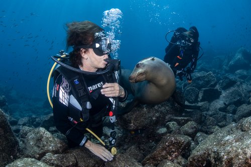 Local Dives – Cabo San Lucas Marine Park and Corridor