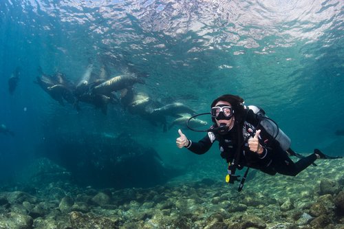 Snorkeling or Try Scuba Diving