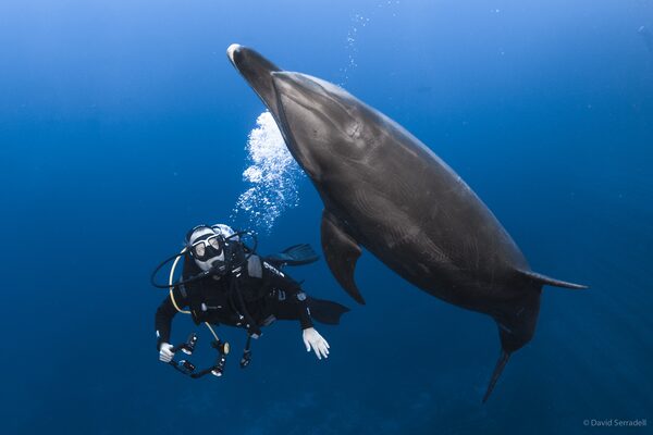 SSI Advanced Open Water Diver