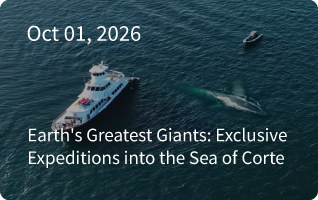 Nautilus Newsletter